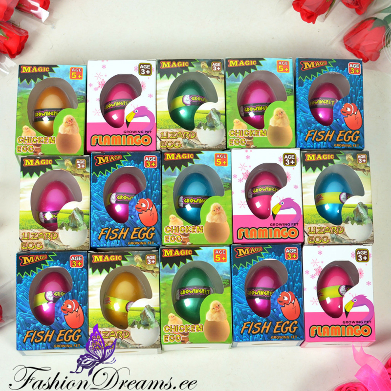 Magic kooruv muna - Image 2