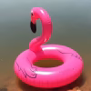 ujumisrongas1