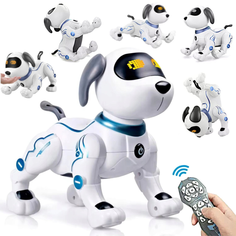 Interaktiivne robotkoer