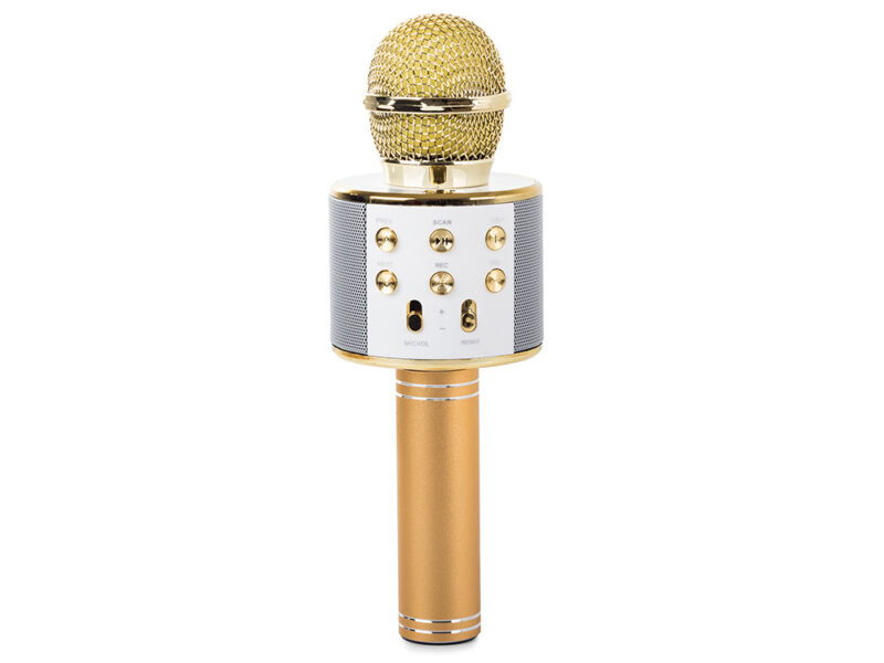 Sisseehitatud kõlari ja salvestusfunktsiooniga Bluetooth mikrofon - Image 3