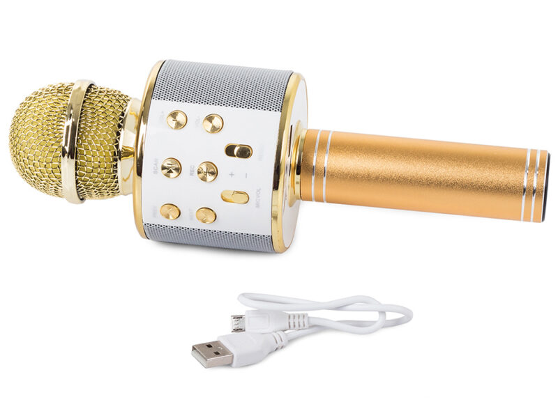 Sisseehitatud kõlari ja salvestusfunktsiooniga Bluetooth mikrofon - Image 7